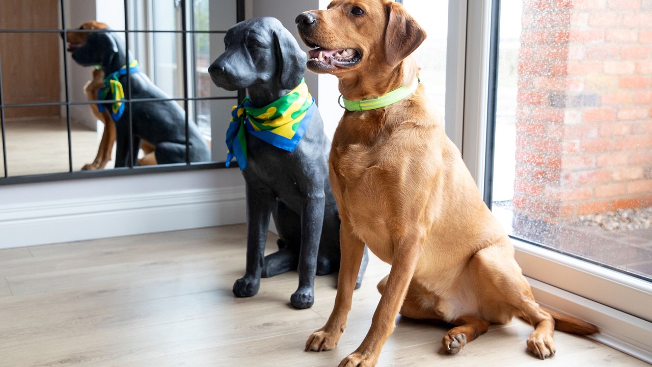 Photo of Others in Sutton on the Forest