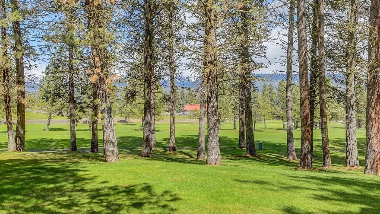 Photo of Others in New Meadows