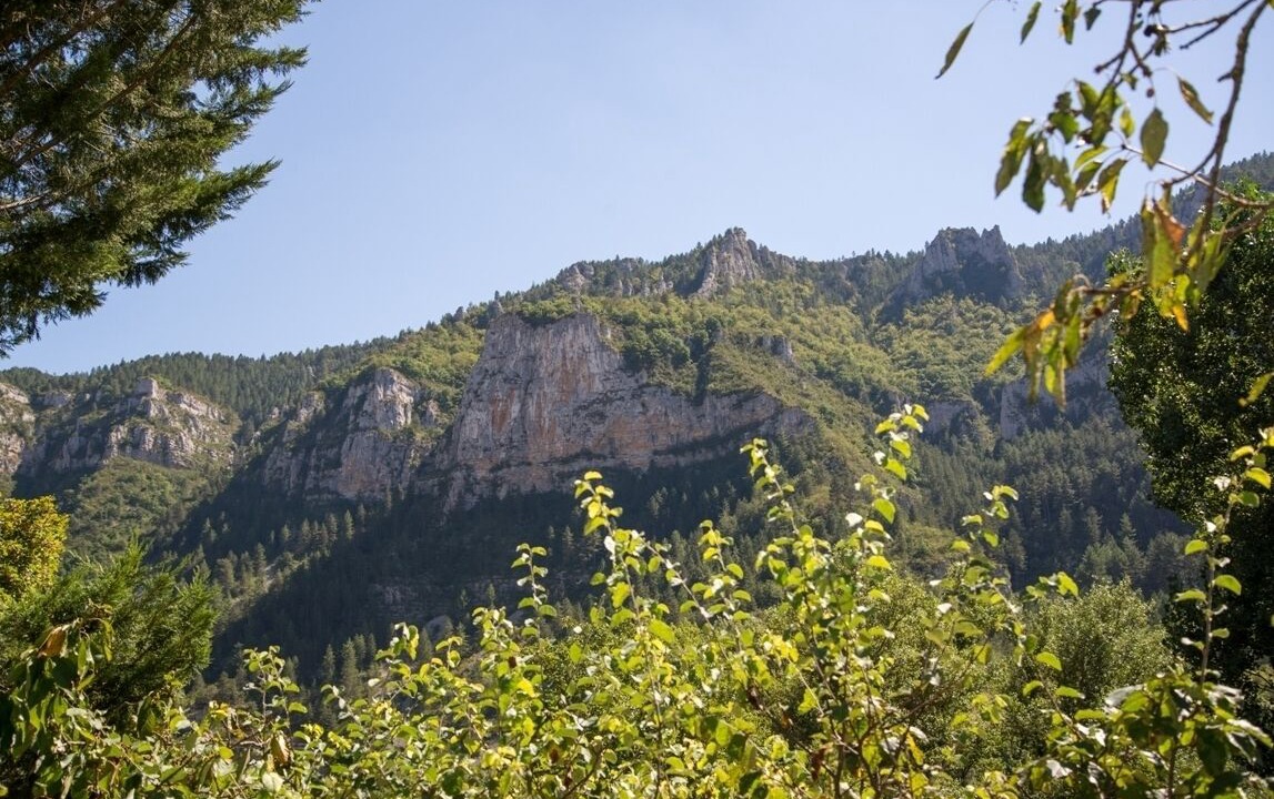 Photo of Others in Gorges du Tarn Causses