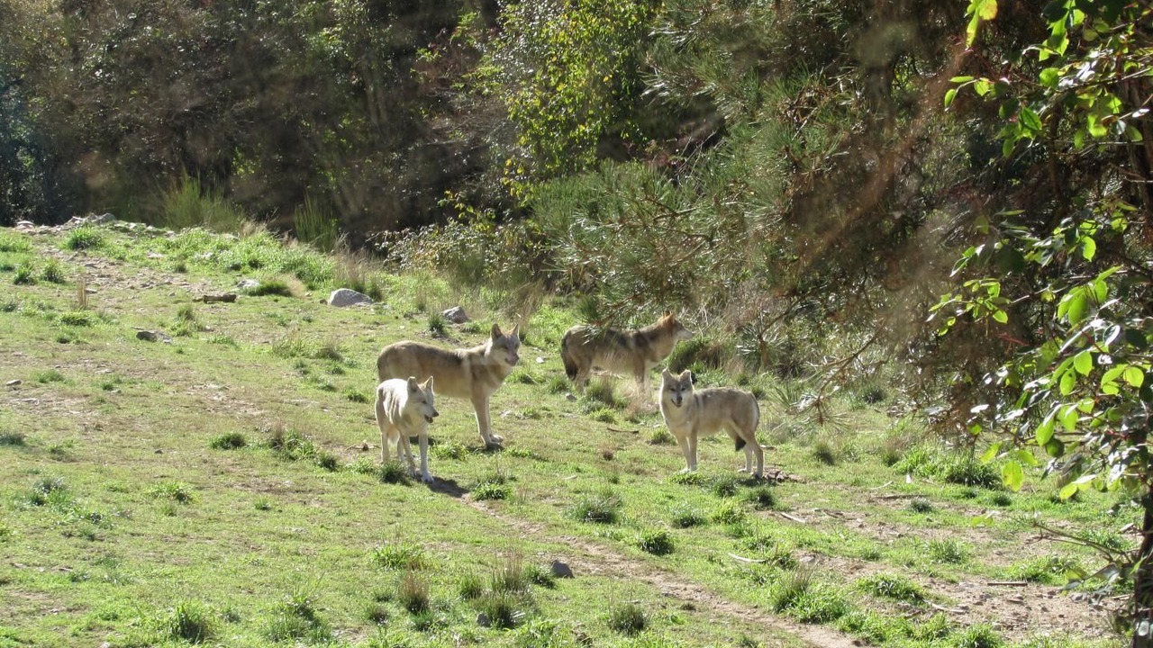Photo of Outdoor in Albaret-le-Comtal