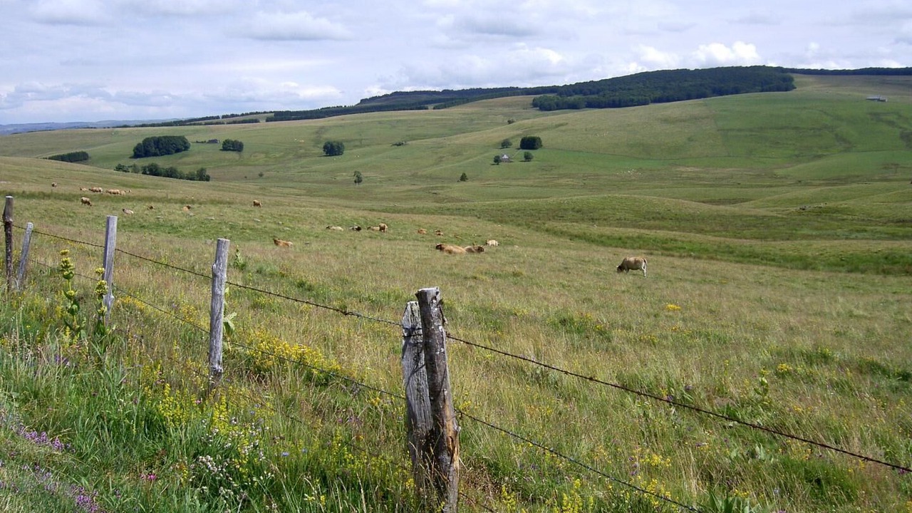 Photo of Outdoor in Albaret-le-Comtal