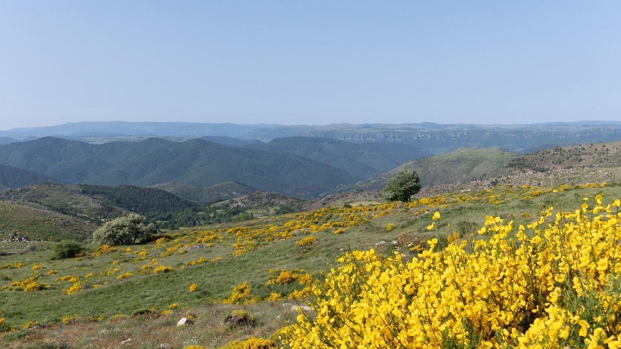 Photo of Others in Fraissinet-de-Lozere
