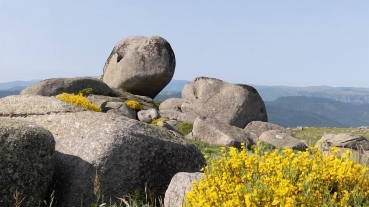 Photo of Others in Fraissinet-de-Lozere