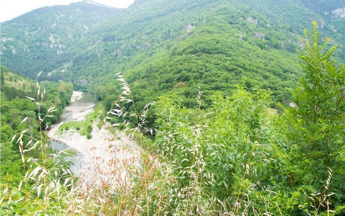 Photo of Outdoor in Sainte-Enimie