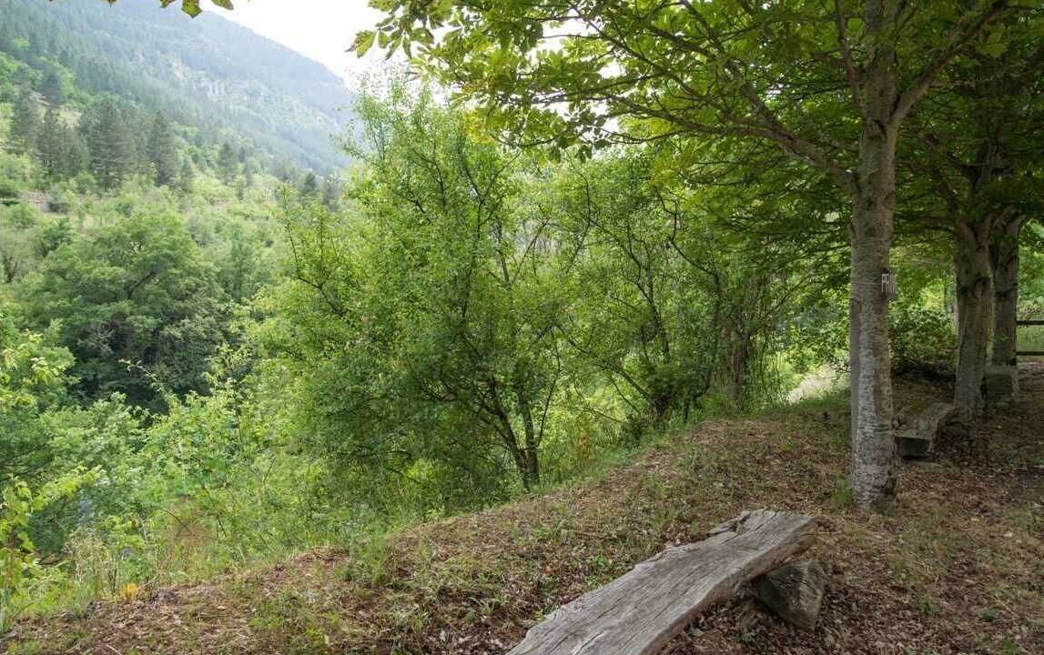 Photo of Others in Sainte-Enimie