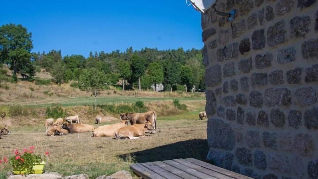 Photo of Outdoor in Villeneuve