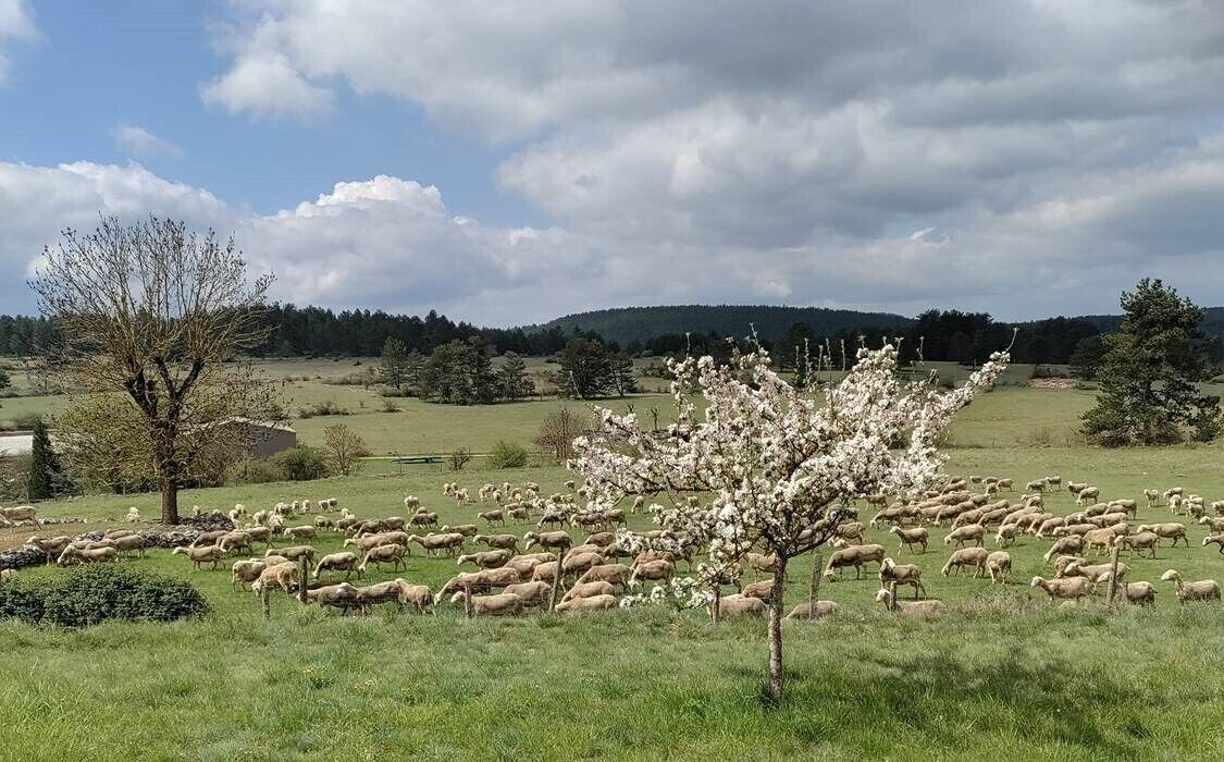 Photo of Others in Saint-Bauzile
