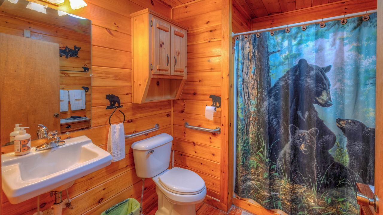Photo of Bathroom in Murphy