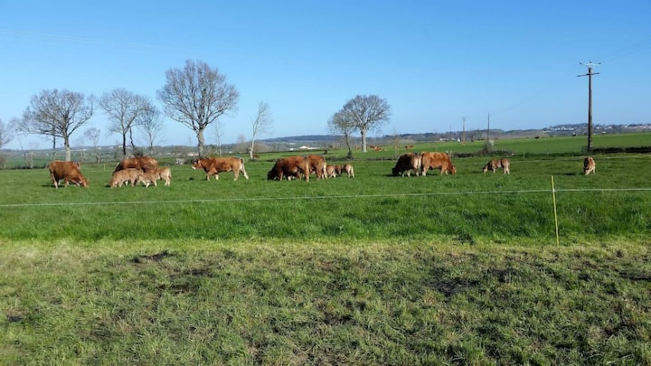 Photo of Others in Antigny