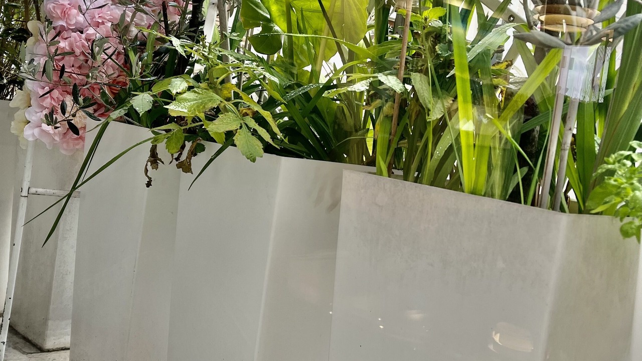 Photo of Outdoor in Neuilly-sur-Seine