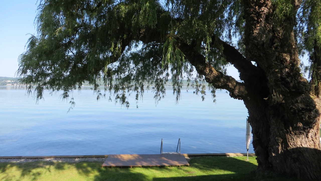 Photo of Others in Suttons Bay