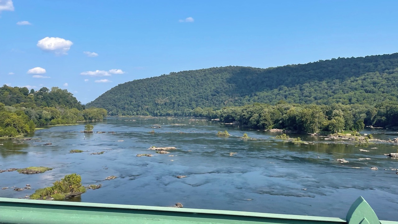 Photo of Others in Stockton