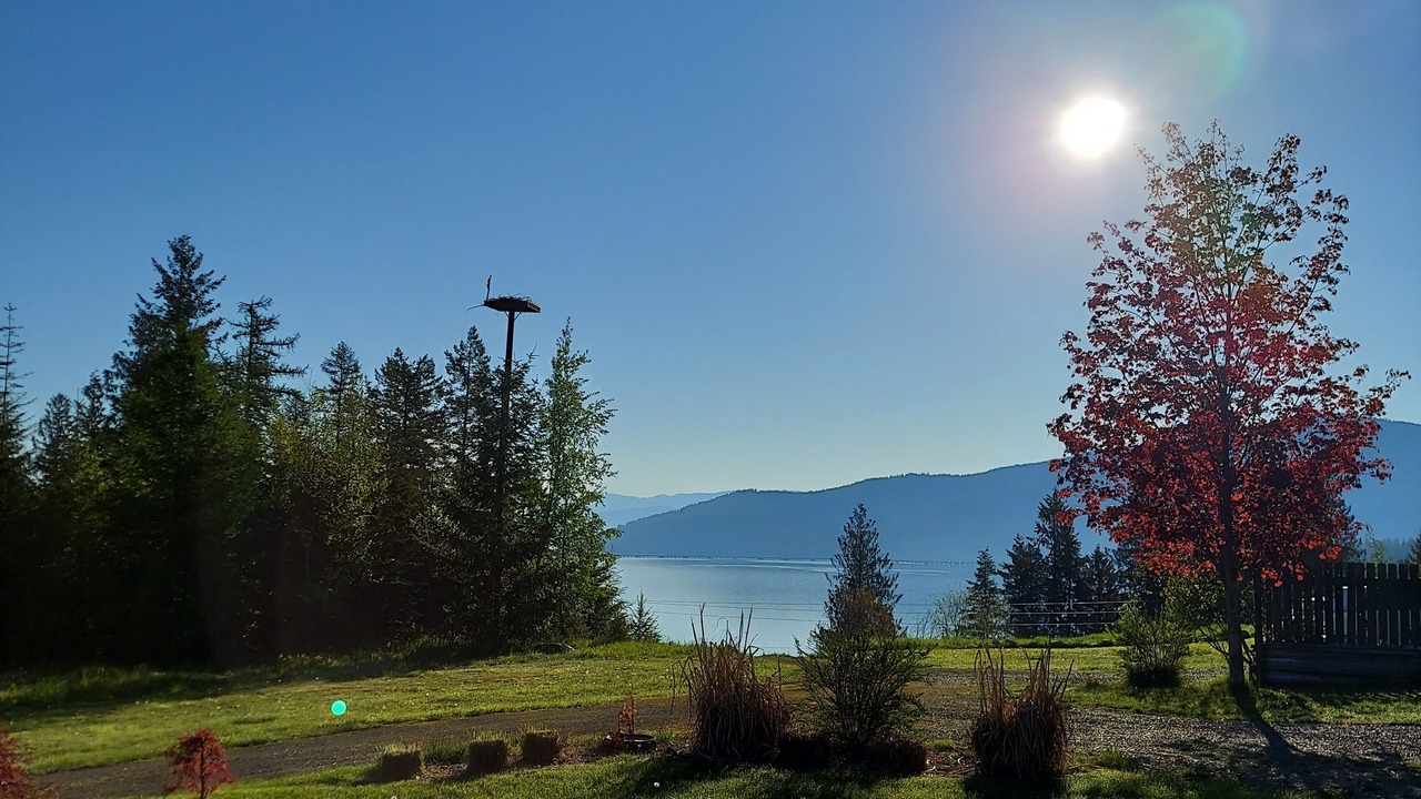 Photo of Others in Sandpoint