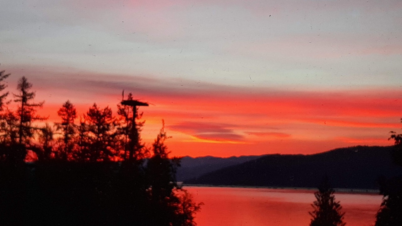 Photo of Others in Sandpoint