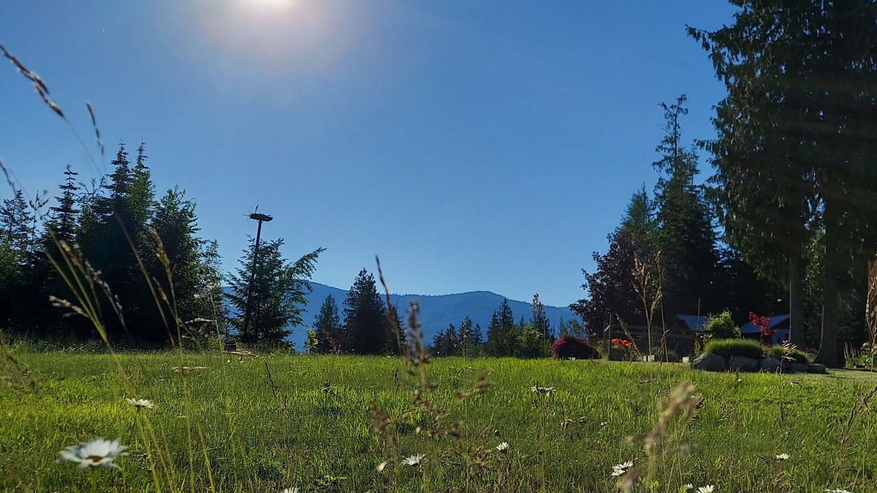 Photo of Outdoor in Sandpoint