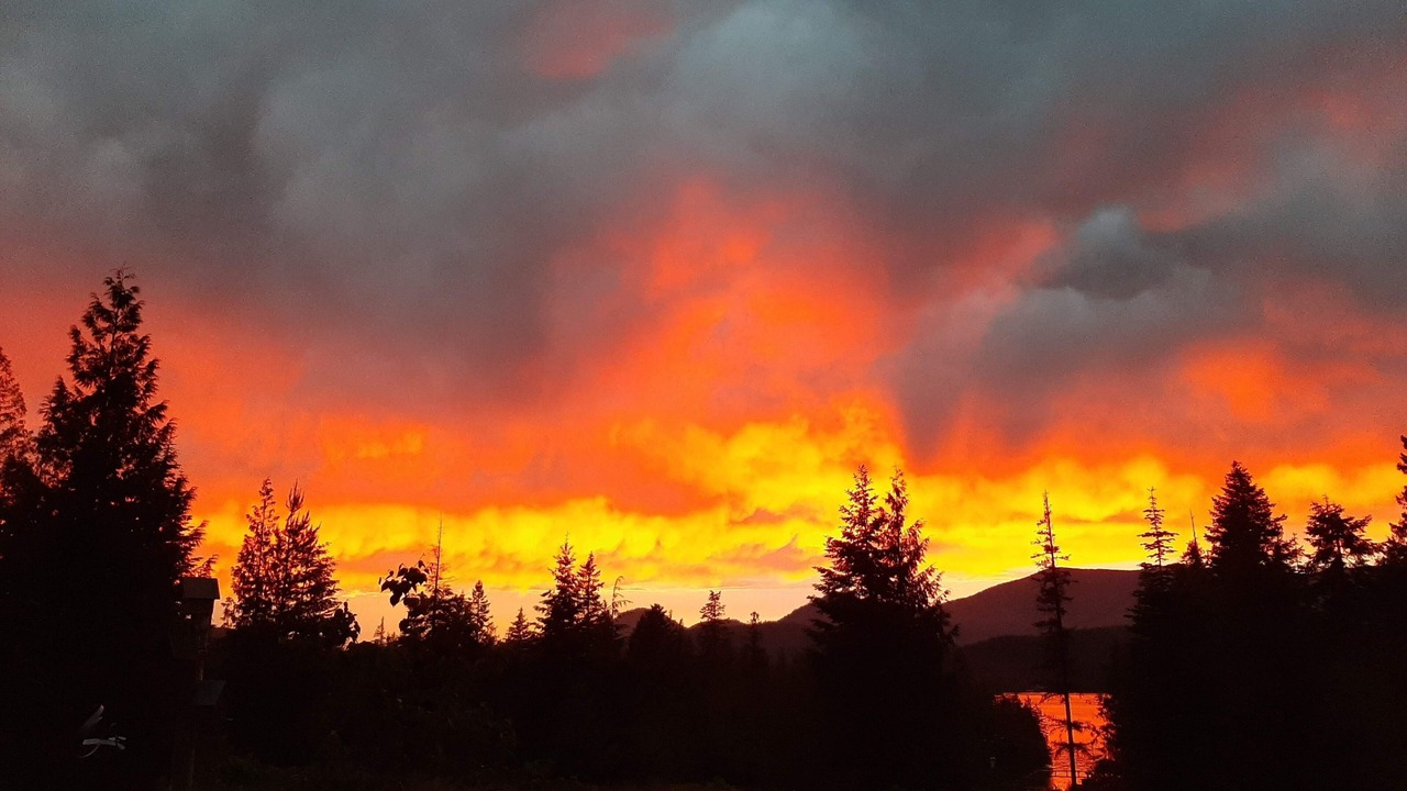 Photo of Others in Sandpoint