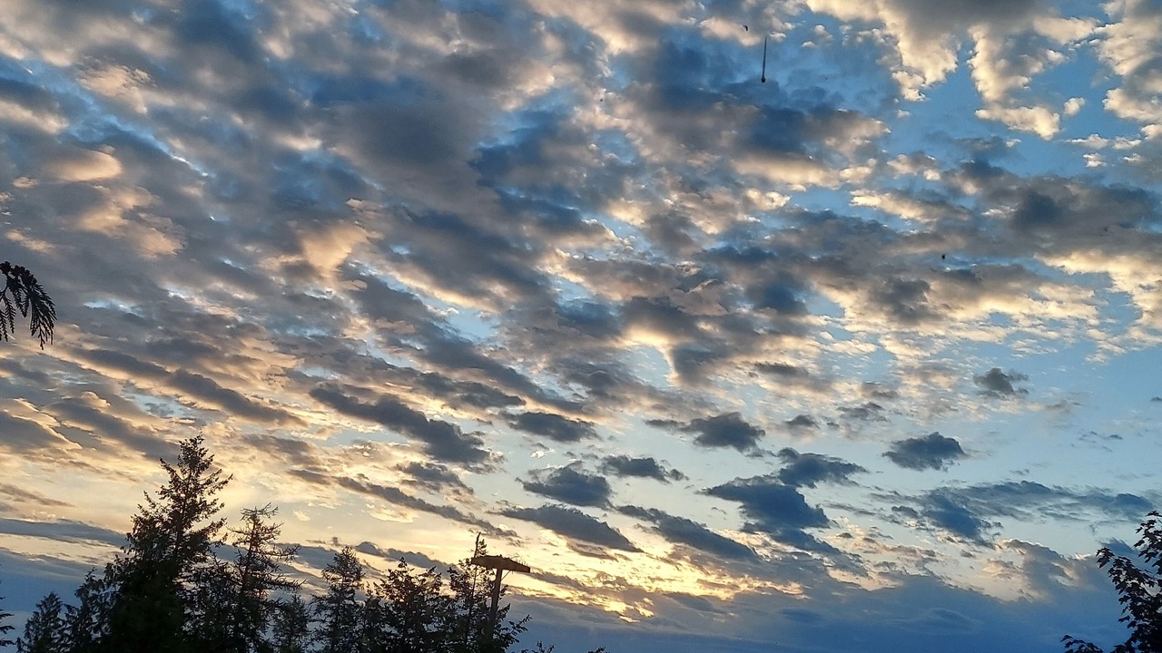 Photo of Others in Sandpoint