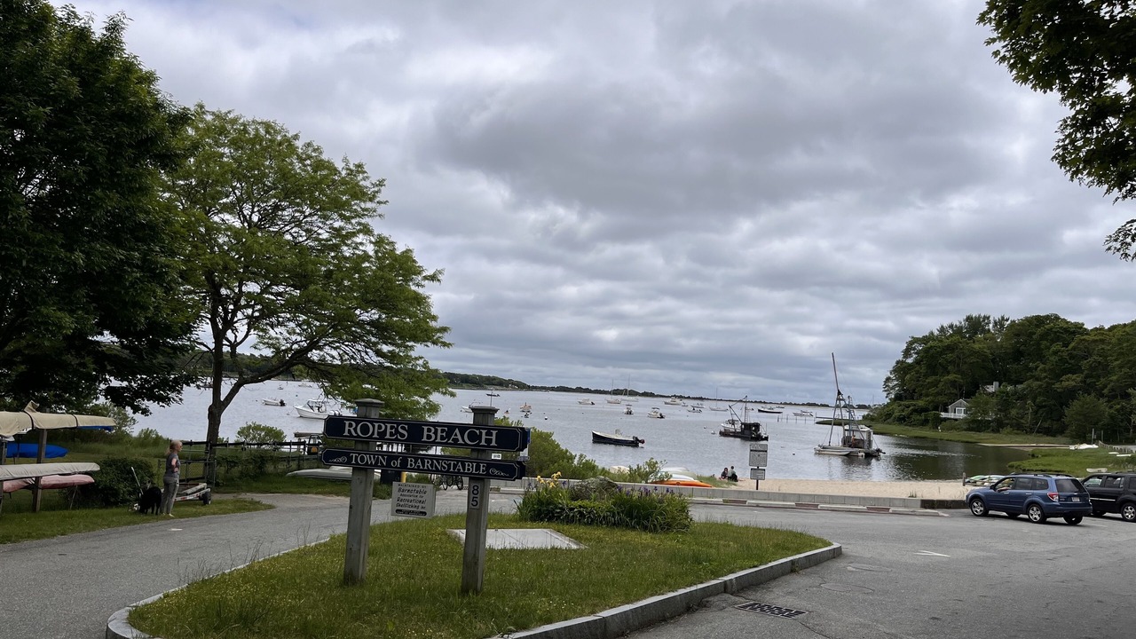 Photo of Others in Cotuit