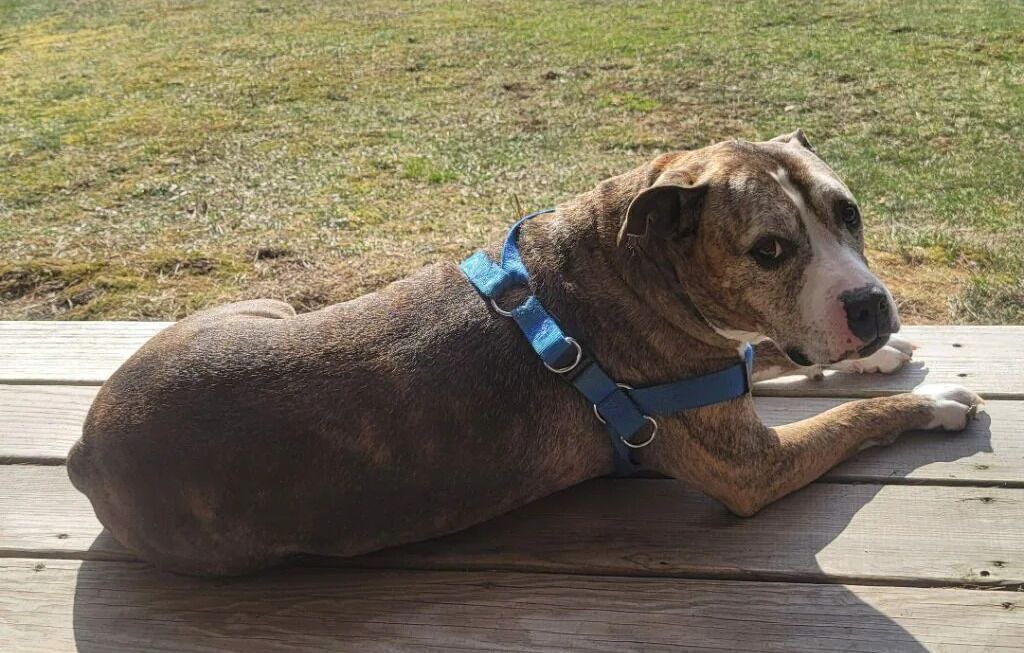 Photo of Others in Stewartstown