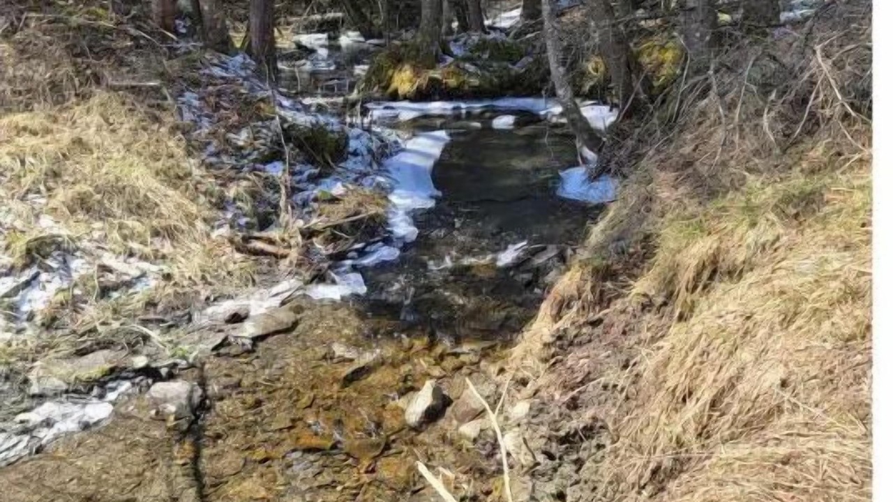 Photo of Others in Stewartstown