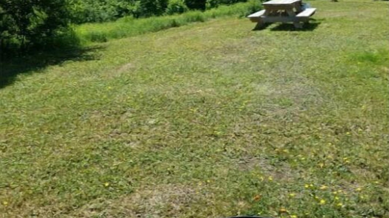 Photo of Others in Stewartstown