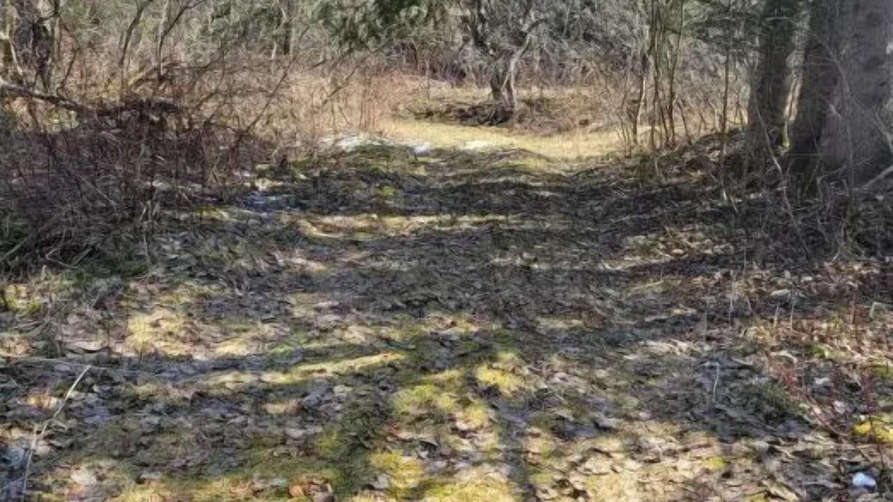 Photo of Others in Stewartstown