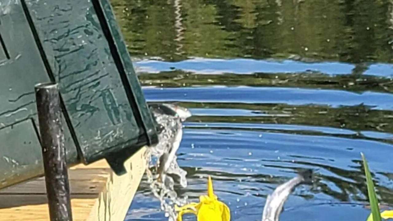 Photo of Others in Stewartstown