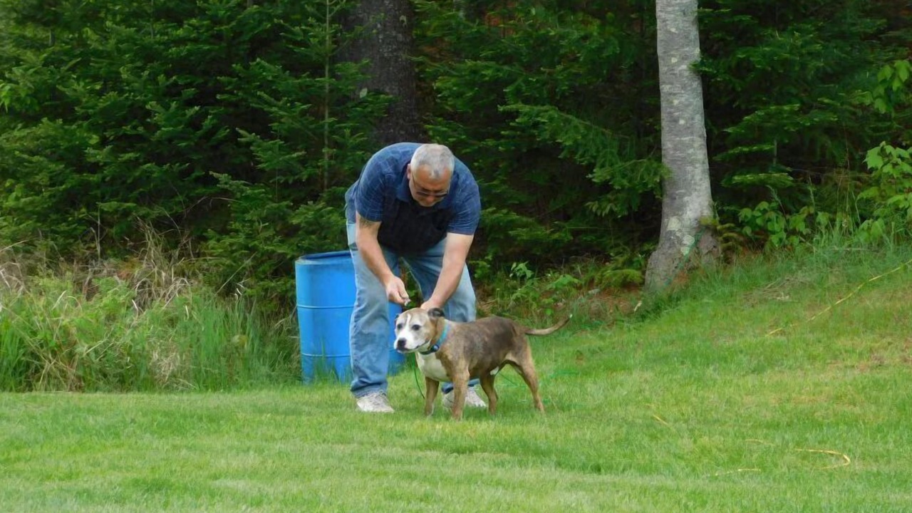 Photo of Others in Stewartstown