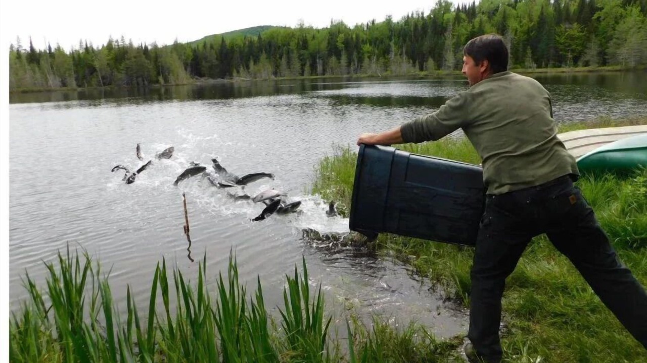 Photo of Others in Stewartstown