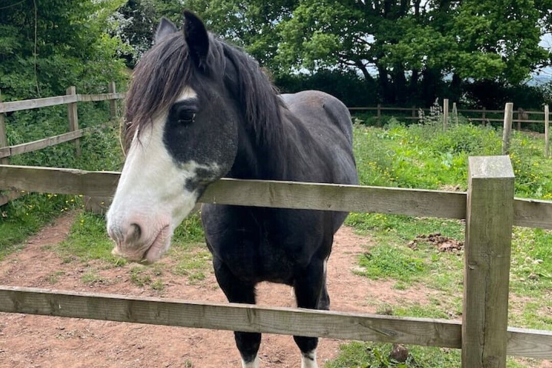Photo of Outdoor in Rewe