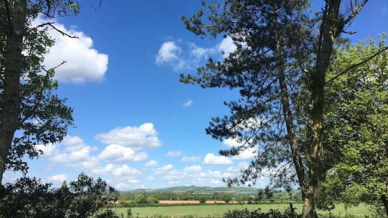 Photo of Outdoor in Rewe