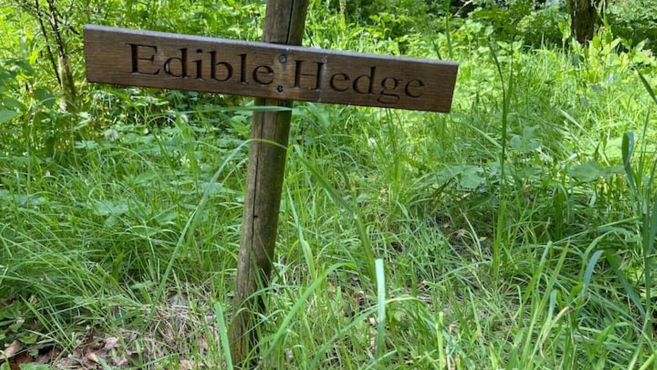 Photo of Outdoor in Rewe