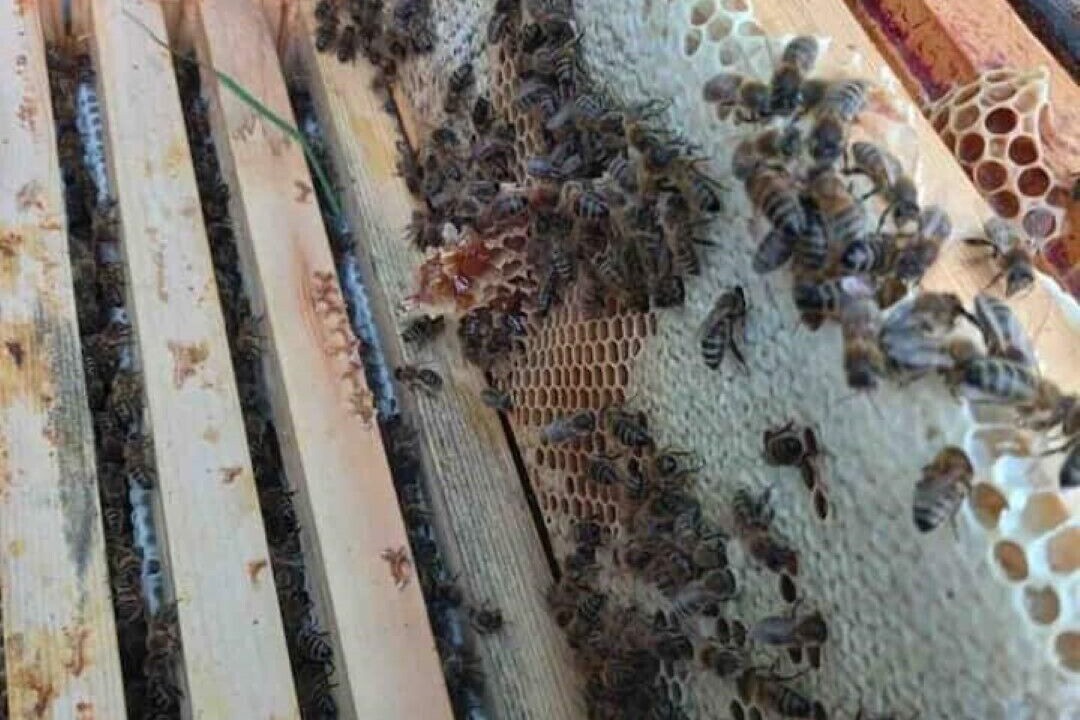 Photo of Outdoor in Rewe