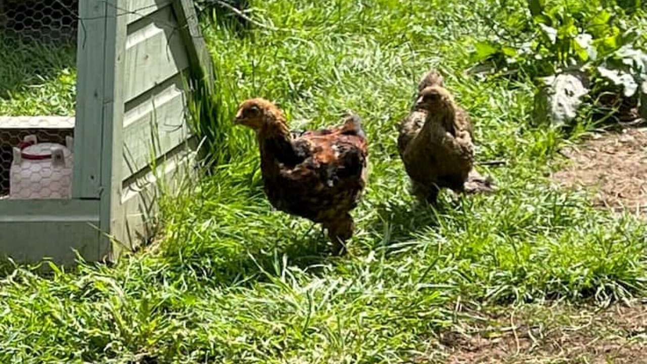 Photo of Outdoor in Rewe