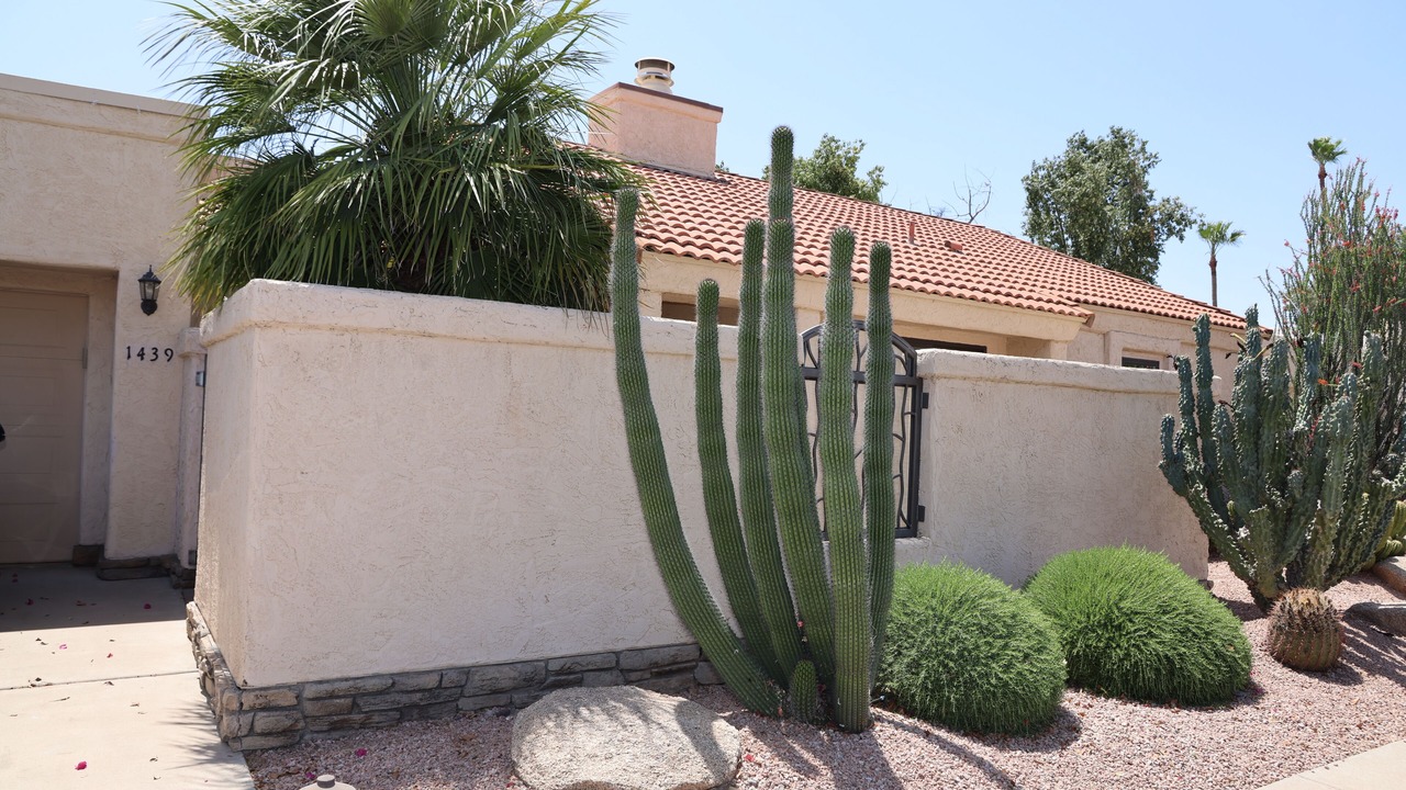 Photo of Outdoor in Dobson Ranch