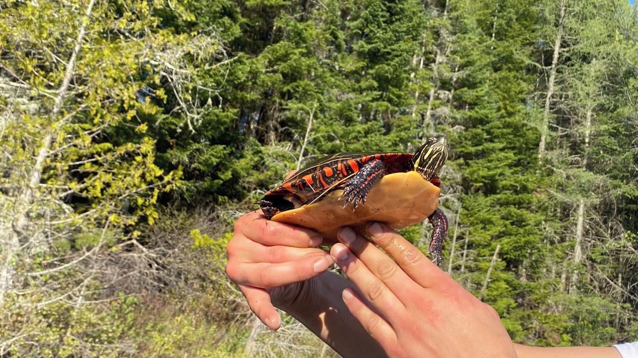 Photo of Outdoor in Stewartstown