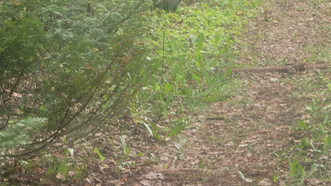 Photo of Outdoor in Stewartstown