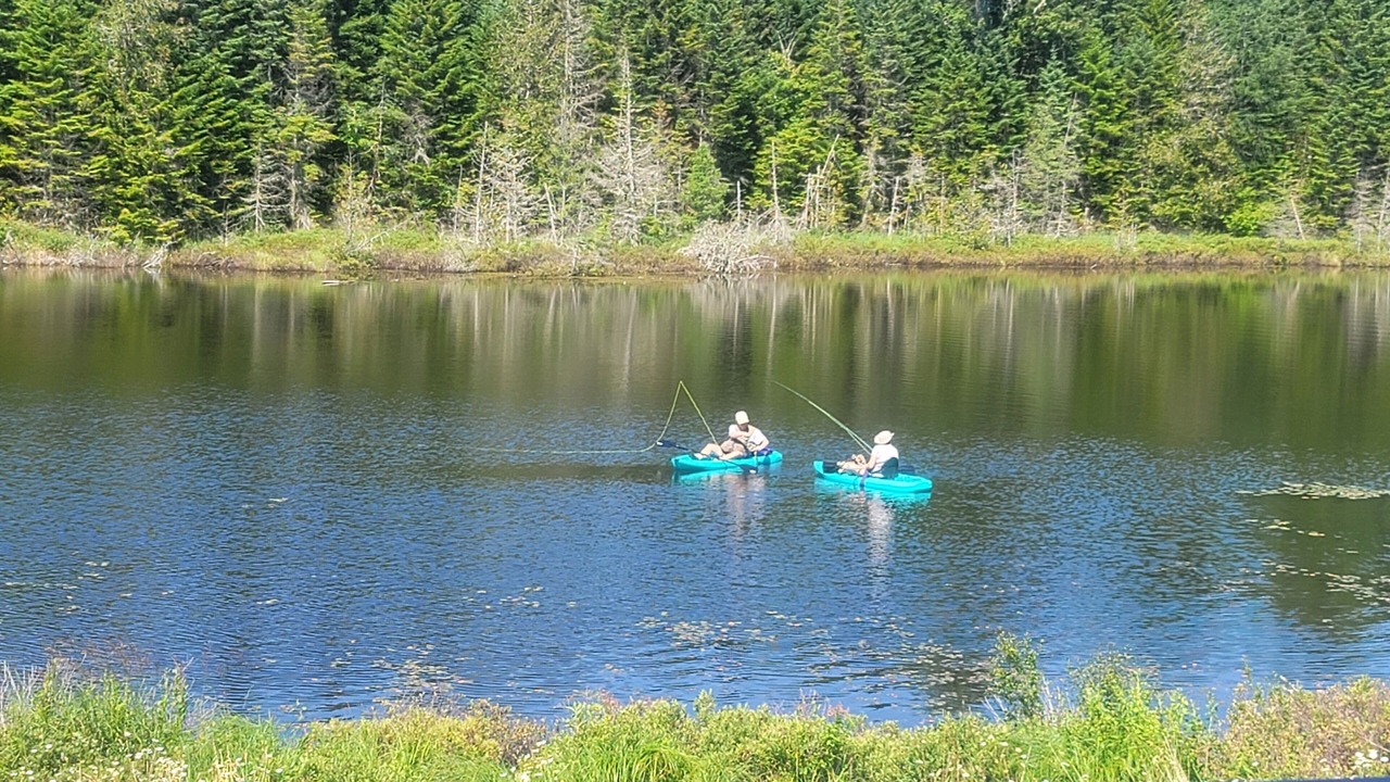 Photo of Others in Stewartstown