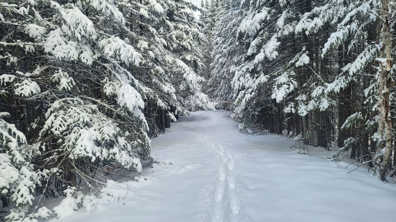 Photo of Outdoor in Stewartstown