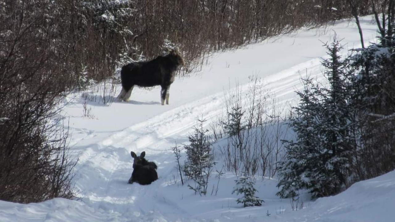Photo of Outdoor in Stewartstown