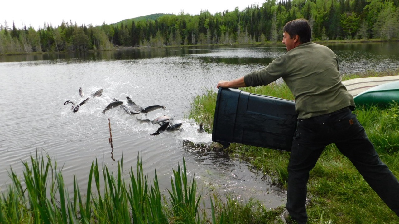 Photo of Others in Stewartstown