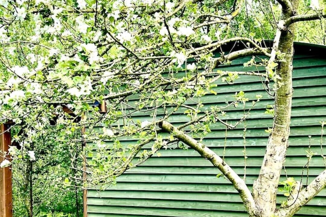 Photo of Outdoor in Rewe