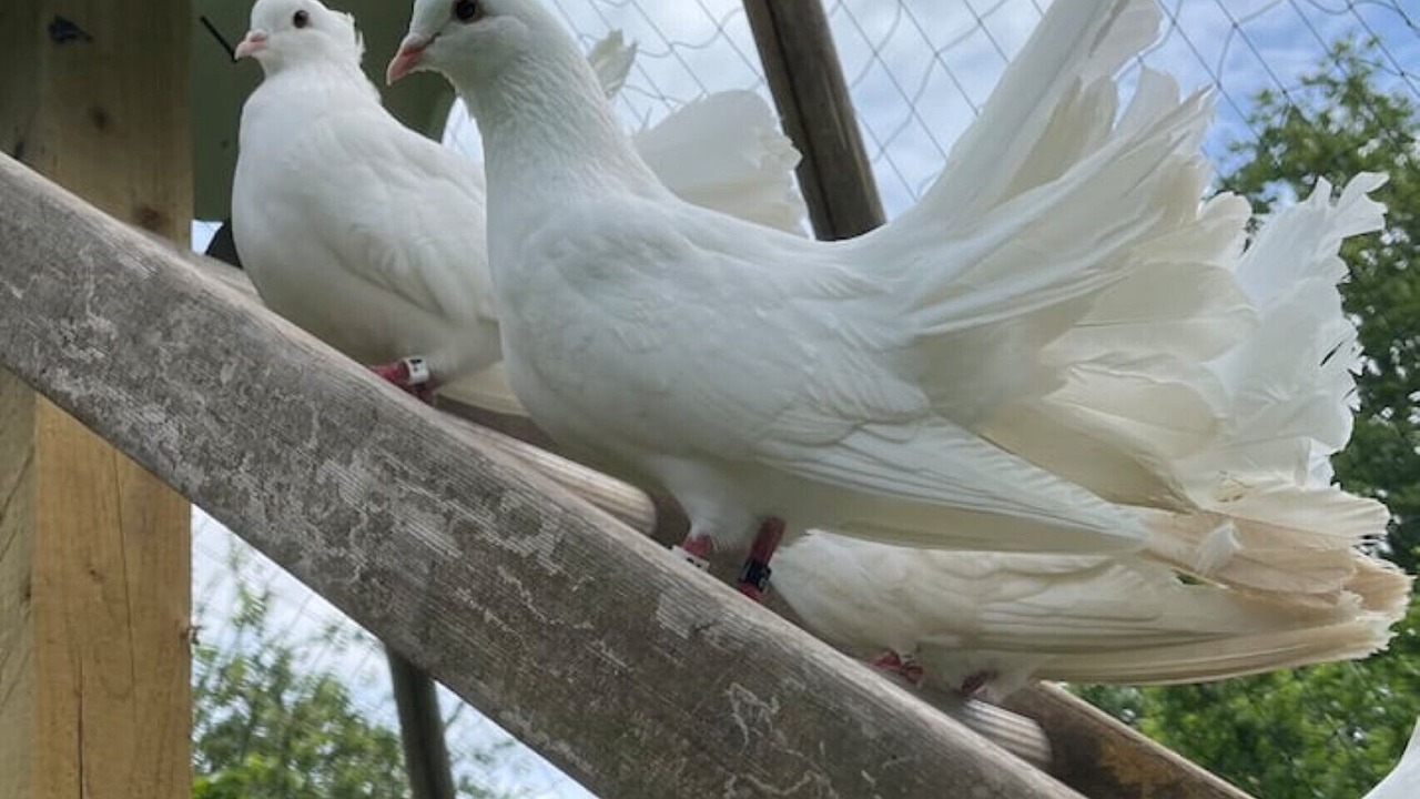 Photo of Outdoor in Rewe