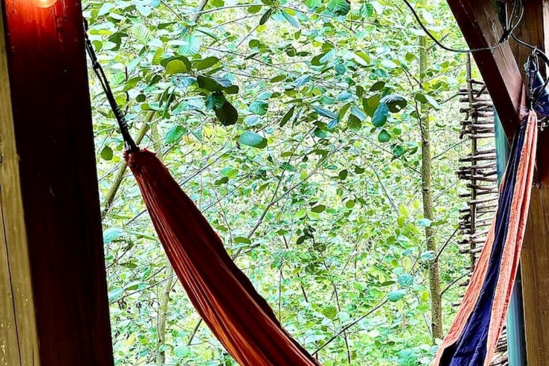 Photo of Outdoor in Rewe