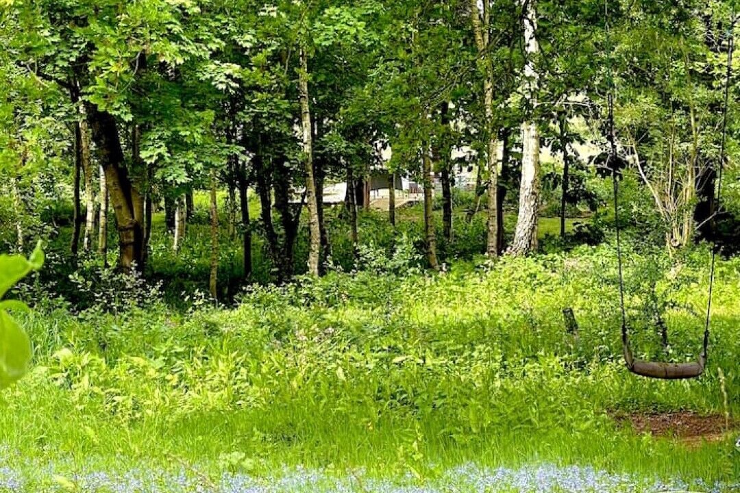 Photo of Outdoor in Rewe