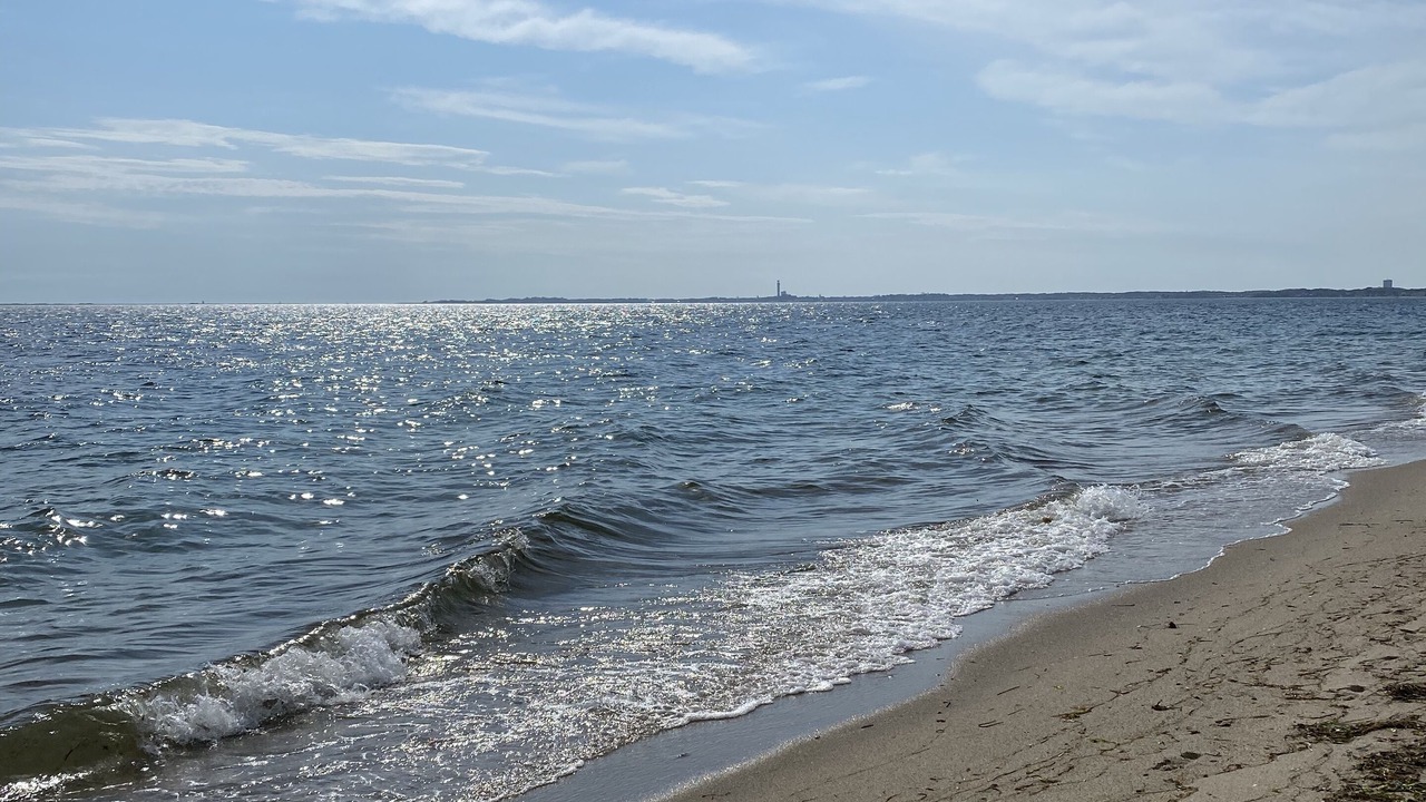 Photo of Others in North Truro