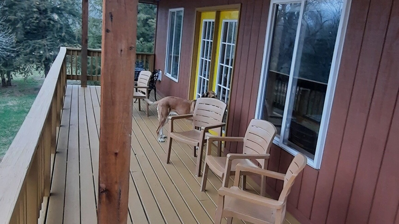 Photo of Patio Balcony in Bon Homme County