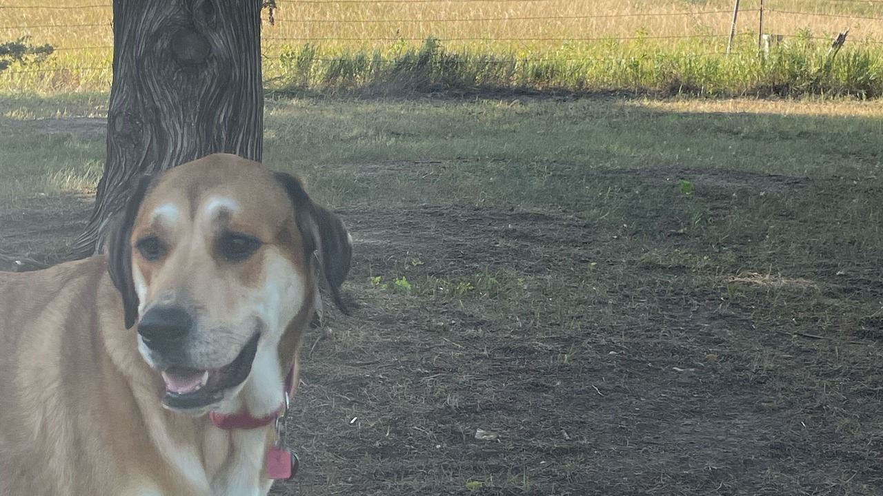 Photo of Outdoor in Bon Homme County
