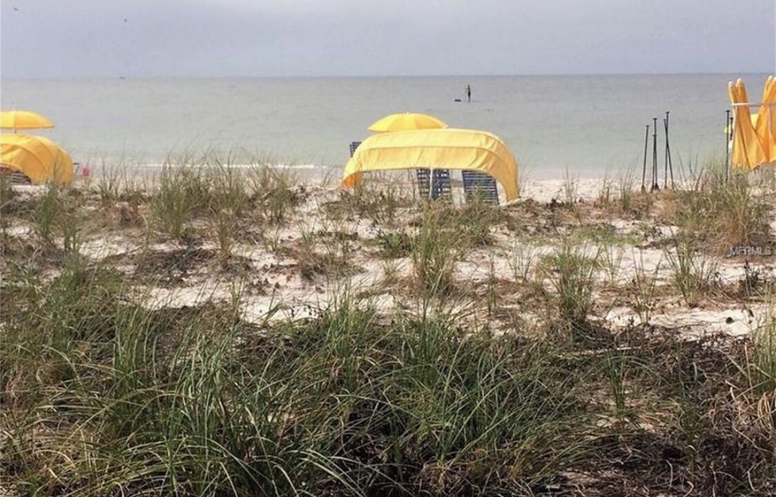 Photo of Others in Madeira Beach