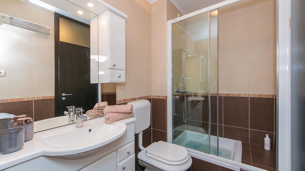 Photo of Bathroom in Istok